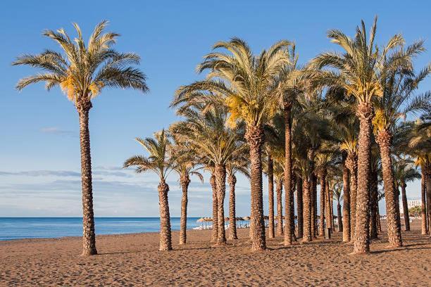 Apartmán Apartamento Carole Playa Bajondillo Torremolinos Beach - Playa A 30 Segundos - Wifi - Parking - Terraza Exteriér fotografie